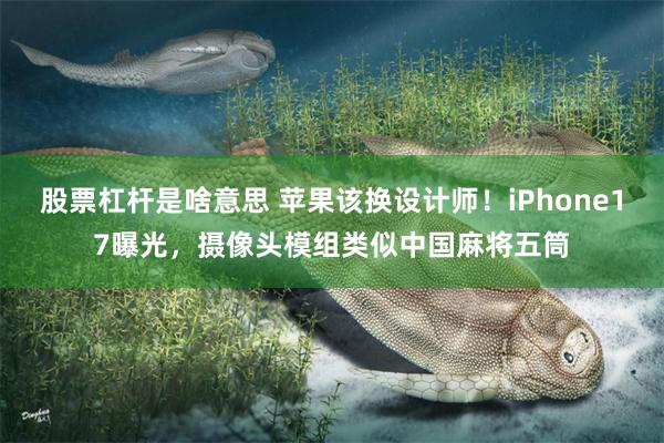 股票杠杆是啥意思 苹果该换设计师！iPhone17曝光，摄像头模组类似中国麻将五筒