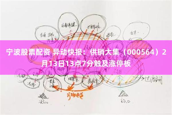 宁波股票配资 异动快报：供销大集（000564）2月13日13点7分触及涨停板