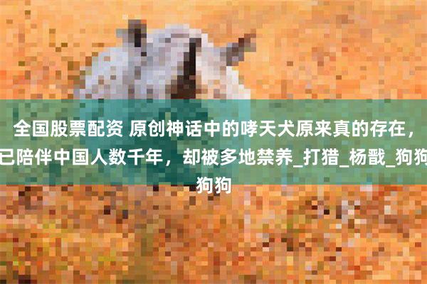 全国股票配资 原创神话中的哮天犬原来真的存在，已陪伴中国人数千年，却被多地禁养_打猎_杨戬_狗狗