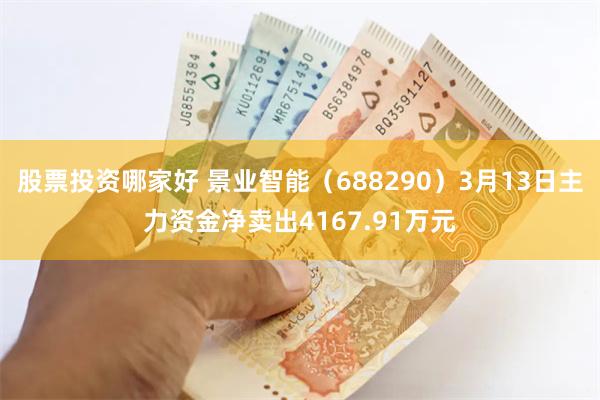 股票投资哪家好 景业智能（688290）3月13日主力资金净卖出4167.91万元