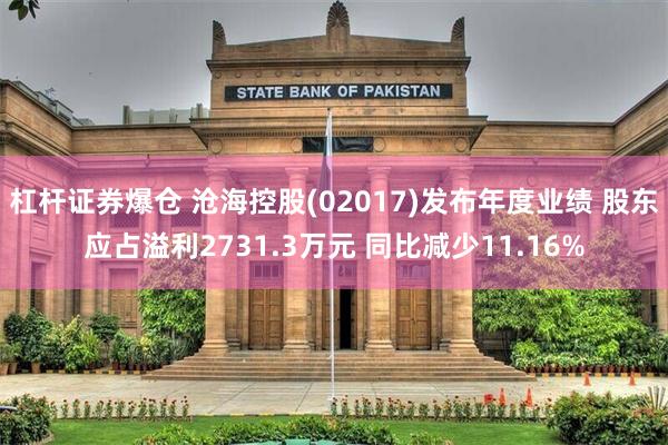 杠杆证券爆仓 沧海控股(02017)发布年度业绩 股东应占溢利2731.3万元 同比减少11.16%