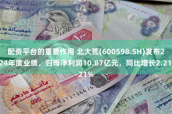 配资平台的重要作用 北大荒(600598.SH)发布2024年度业绩，归母净利润10.87亿元，同比增长2.21%