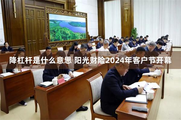 降杠杆是什么意思 阳光财险2024年客户节开幕