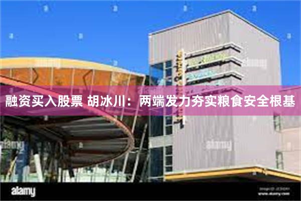 融资买入股票 胡冰川：两端发力夯实粮食安全根基