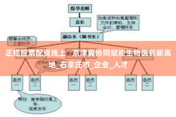 正规股票配资线上   京津冀协同赋能生物医药新高地_石家庄市_企业_人才