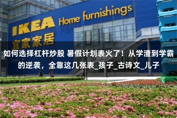如何选择杠杆炒股 暑假计划表火了！从学渣到学霸的逆袭，全靠这几张表_孩子_古诗文_儿子