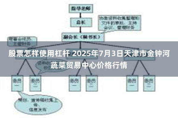 股票怎样使用杠杆 2025年7月3日天津市金钟河蔬菜贸易中心价格行情