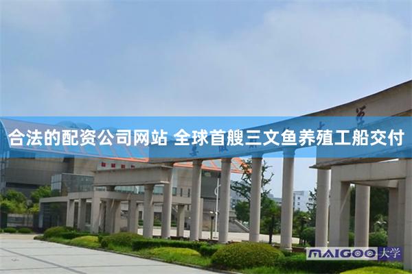 合法的配资公司网站 全球首艘三文鱼养殖工船交付