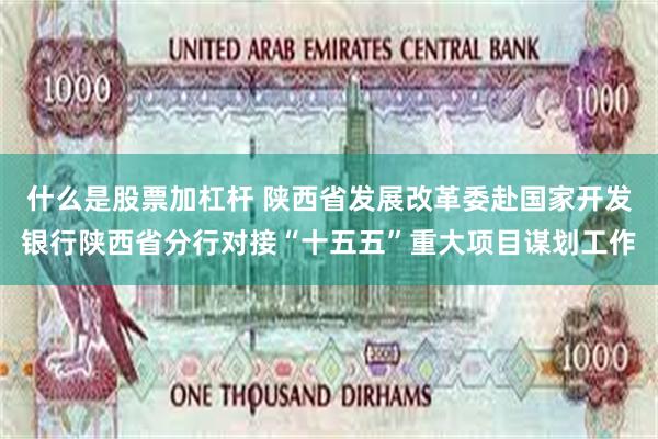 什么是股票加杠杆 陕西省发展改革委赴国家开发银行陕西省分行对接“十五五”重大项目谋划工作