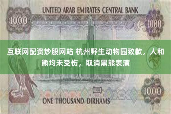 互联网配资炒股网站 杭州野生动物园致歉，人和熊均未受伤，取消黑熊表演